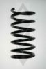 MERCE 1213241804 Coil Spring